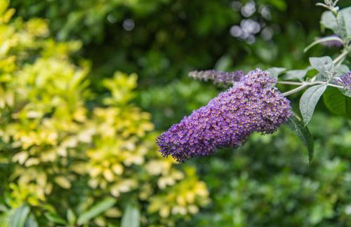 Honeywood Lodge by Bloom Stays - Foto 41