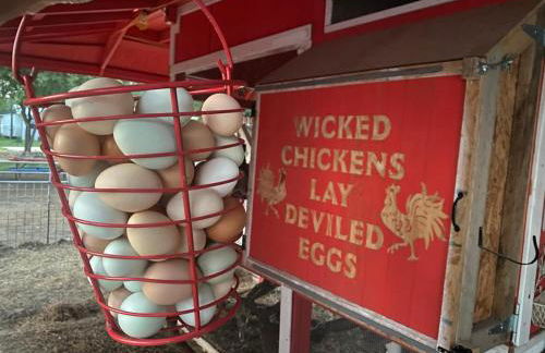 Cabin 6 The Roost Cabins - Foto 12