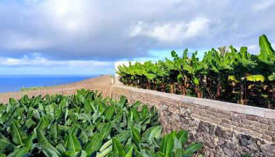 Casa Las Plataneras - Foto 4