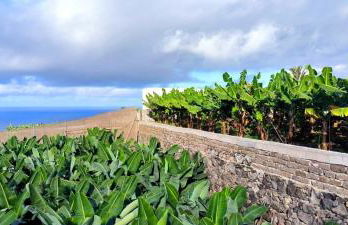 Casa Las Plataneras - Foto 4