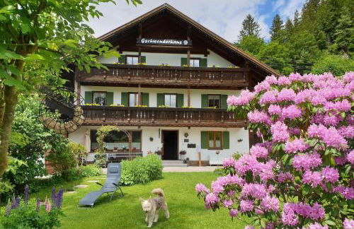 Gschwenderhaus Ferienwohnungen - Photo 9