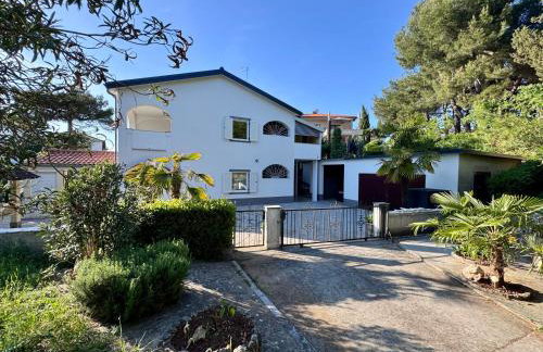 Apartmani Mili - Photo 30