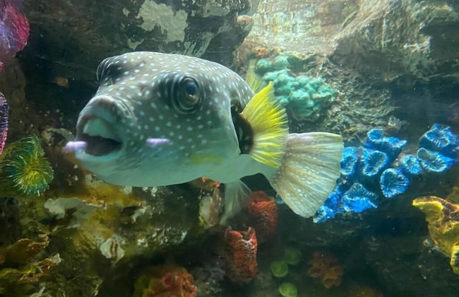 Room-appartment Rodolfo Historical Centr - Foto 9