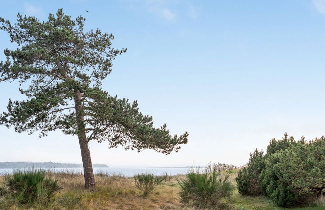 "Bosilka" - 75m from the sea - Foto 4