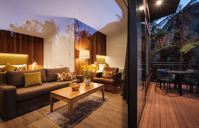 Rainforest Deluxe - Photo 15