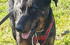 Gîte d'Anne et Ulysse - Foto 30