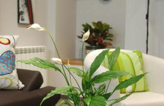 Apartamento Judería - Foto 13