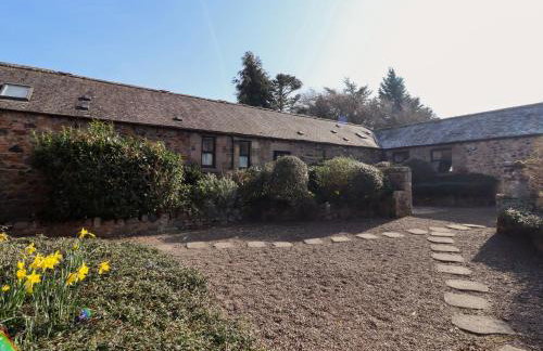 Pansy Plot - Photo 20