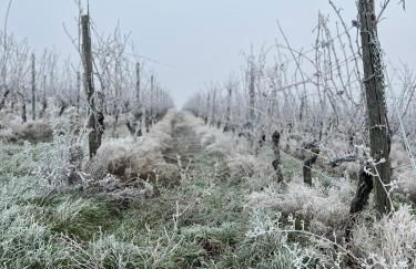 Ferienwohnung "Im Weidengarten" - Foto 15