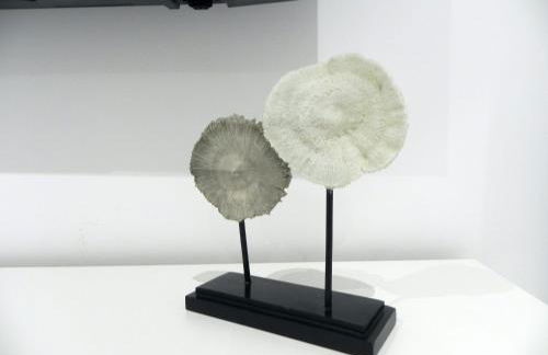 Catalina Suites Apartments Downtown Valencia - Foto 23