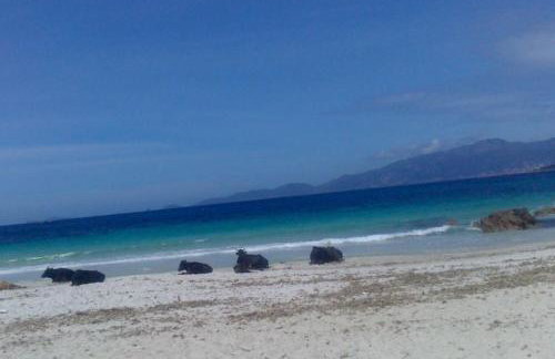 A Luna Rossa - Photo 37