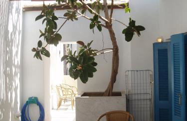 Τhe White Houses - Foto 59