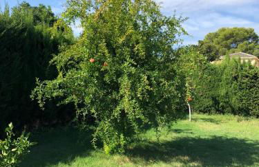 Casa Lusentum - Foto 18