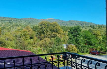 Pod Smerekiem - Photo 8