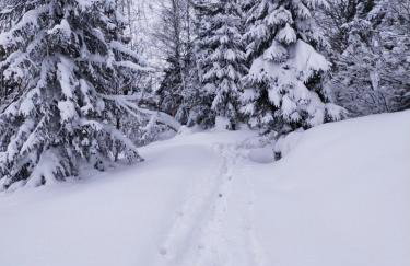 2chałupy - apartamenty w Soli - Foto 73