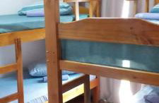 Ap 11 amarílis - Foto 3