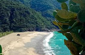 Terra Corsa Duplex T2 - Foto 39