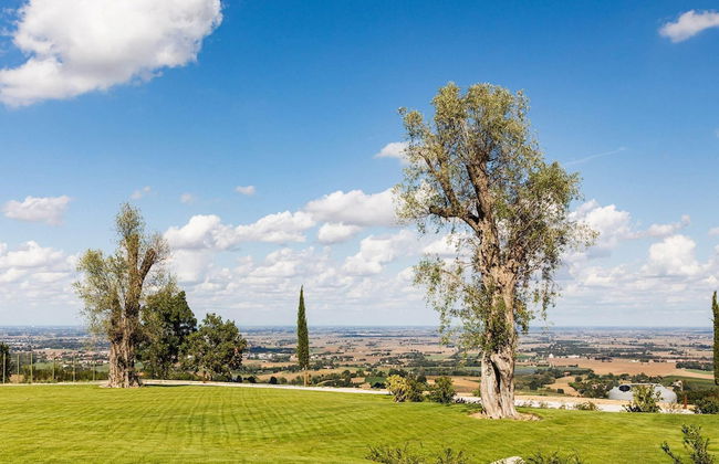 Villa S M Maddalena Part of Palazzo di Varignana - Foto 13