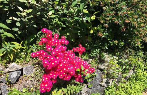 Little Coombe - Foto 40