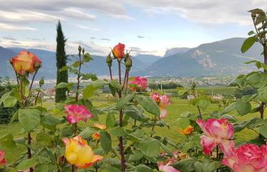 DAS MATSCHER Residence & Garden Hotel - Foto 43