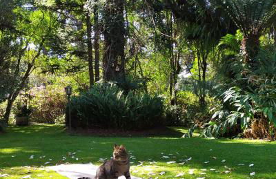 CASA GOLDONI GRAMADO 4 Quartos - Photo 7