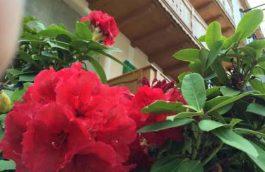 Bella Vista - Foto 68