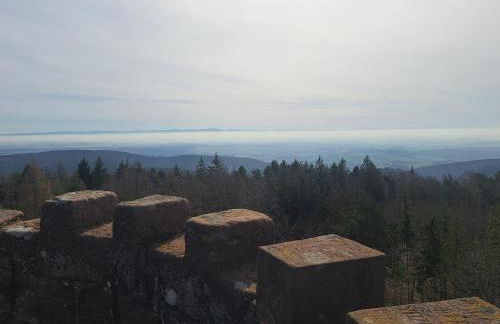 le refuge du bonheur - Foto 30