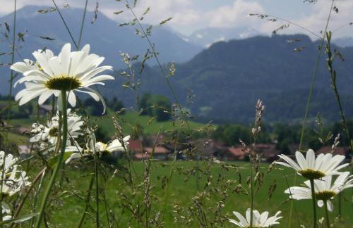 Ferienwohnung Landhaus Martin - Foto 39