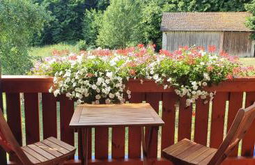 Gasthaus Zum Schneider - Foto 21