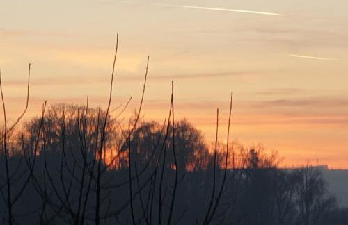 Exklusive Ferienwohnung Bad Salzschlirf - direkt am Waldrand - großer Garten kompett umzäunt - Hunde willkommen - 2 private Stellplätze - Foto 71