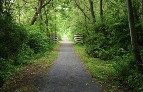 Walk To Parks, Dining & Lake! Game Room! Hot Tub! - Foto 46