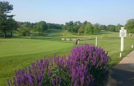 Susu's-I-Luxurious 2 Bedroom 2 Bath Apartment - Foto 64