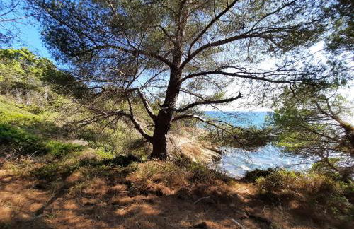 AzuRoMarin - Foto 72