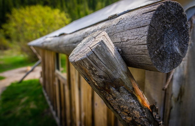 Moose Creek Ranch - Foto 12