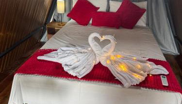 Chalé Ypê roxo Ypês da Serra Chalés - Foto 4