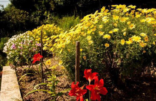 Apartmani Božana Viganj - Foto 26