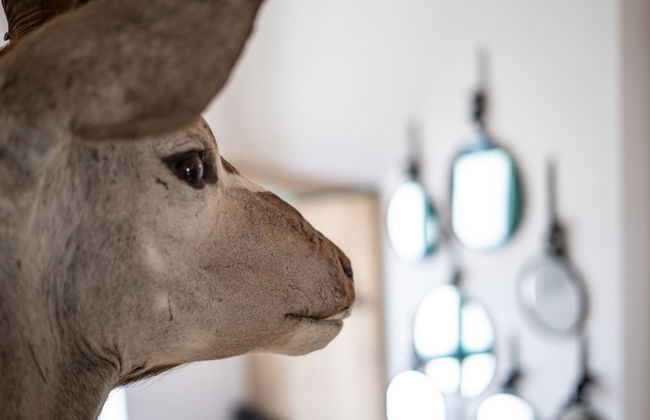 Katschberg 8 - Foto 33