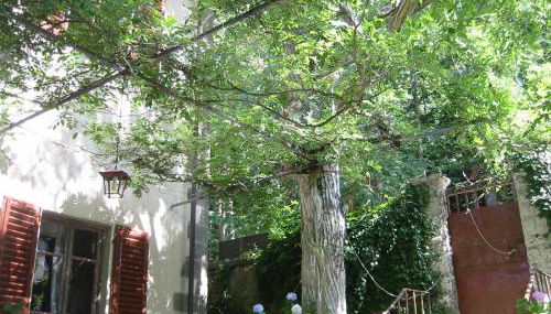 Villino Serena Di Lapigio Firenze - Foto 5