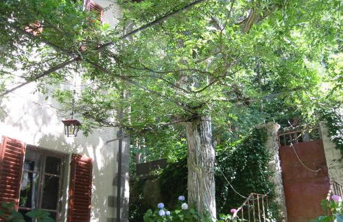 Villino Serena Di Lapigio Firenze - Foto 5