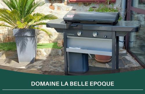 La Belle Epoque Sansac de Marmiesse - 4 Gites de 2 à 6 personnes - Petit Dej - 15 minutes d'Aurillac - Cantal - Foto 48