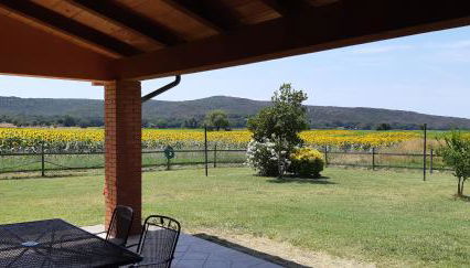 Bio Agriturismo Le Giunchiglie - Foto 2, Garden