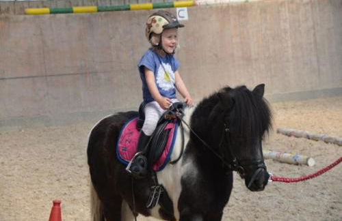 Ferienhof Pfeiffer - Foto 19