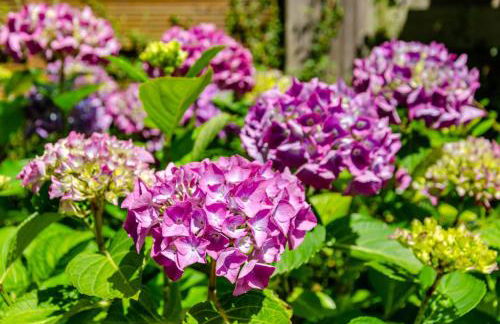 Ferienhaus Hannelore - Foto 28