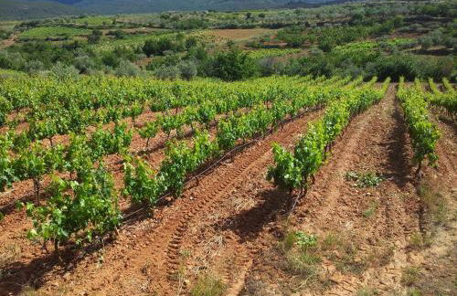 Apartamentos El Mirador Del Soto - Foto 12