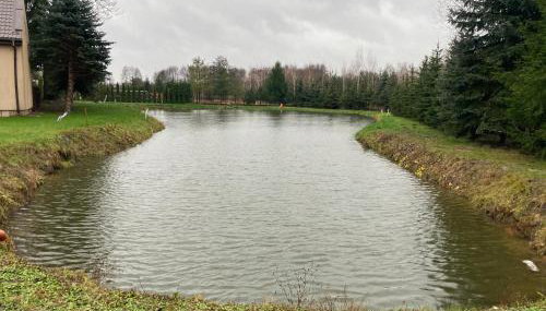 Domek drewniany nad stawem - Foto 2