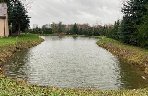 Domek drewniany nad stawem - Foto 2