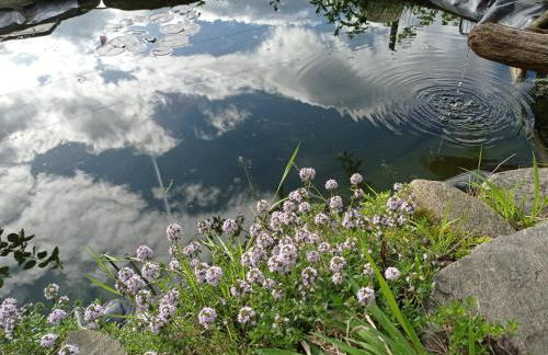 Il Giardino Segreto - Foto 24