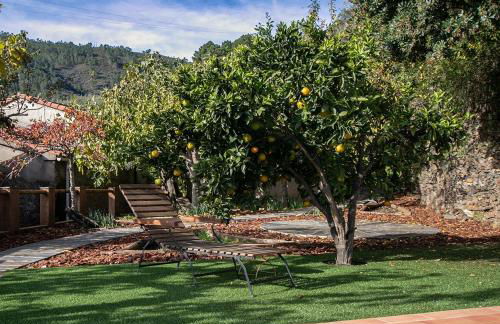 Caserío de Ovejuela - Foto 60