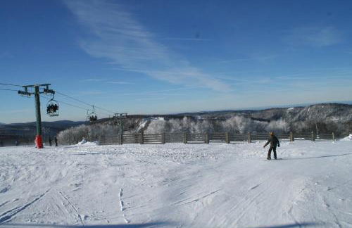 Résidence du Château Lublin - Photo 17