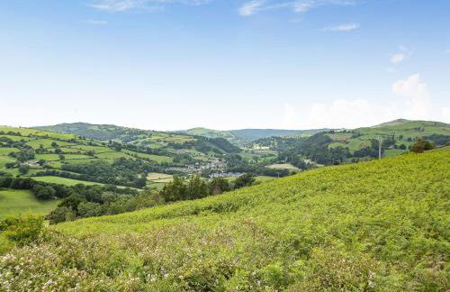 Pyllau Gleision - Photo 19